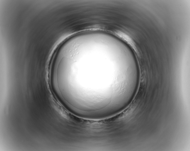 X0000086991051200704301334