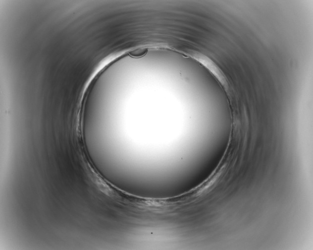 X0000086991052200704301334