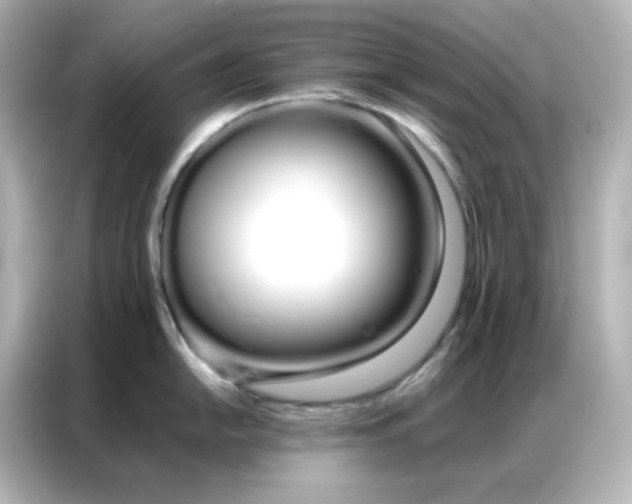 X0000086991054200704301334