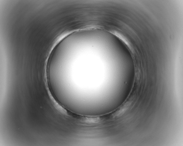 X0000086991055200704301334