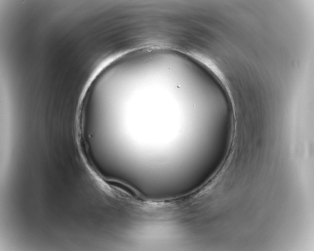 X0000086991056200704301334