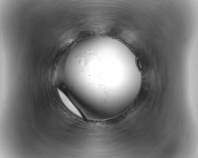 X0000086991058200704301333