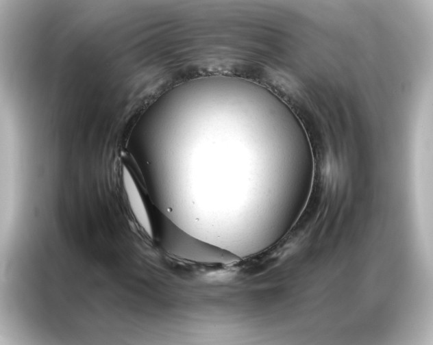 X0000086991060200704301333