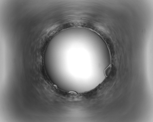 X0000086991061200704301333