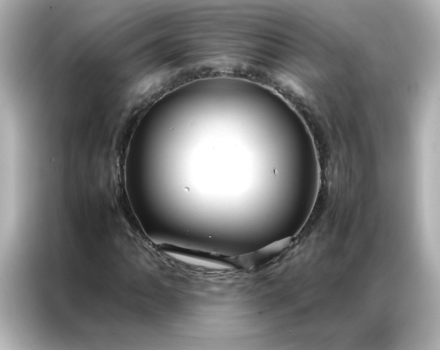 X0000086991062200704301333