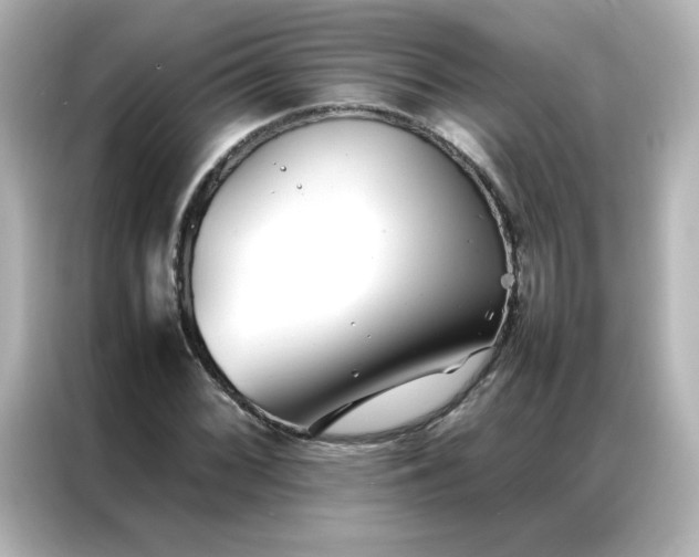 X0000086991068200704301333