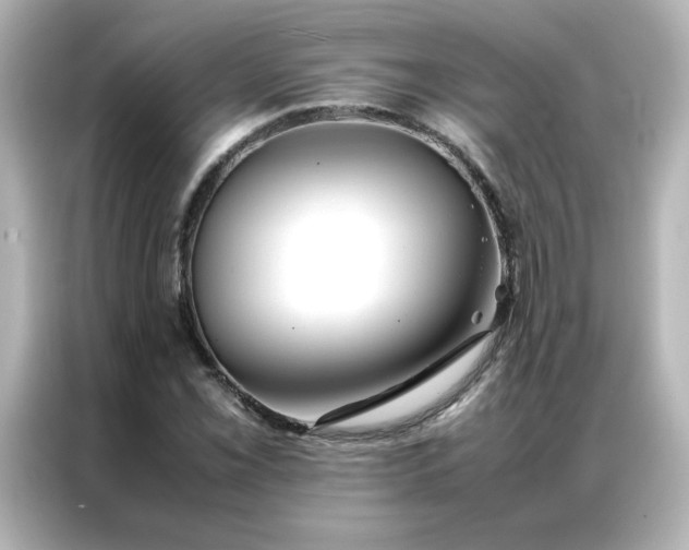 X0000086991069200704301333