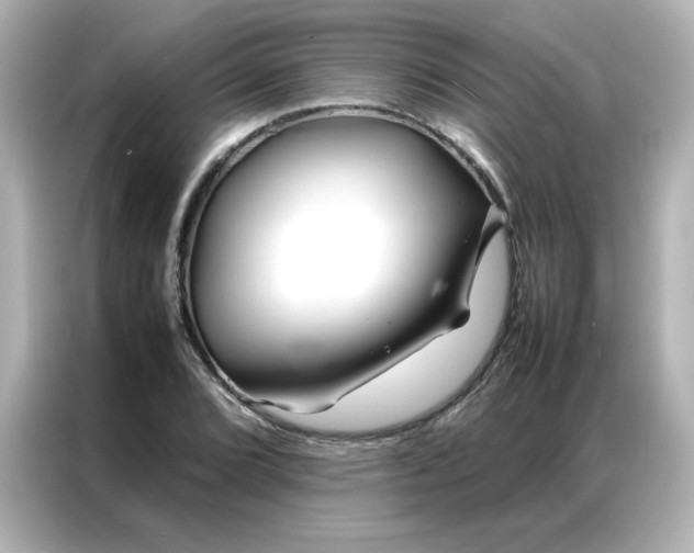 X0000086991072200704301333