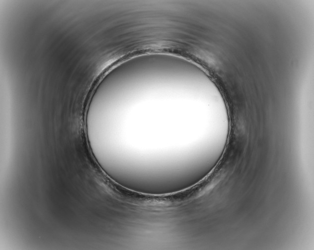 X0000086991073200704301333