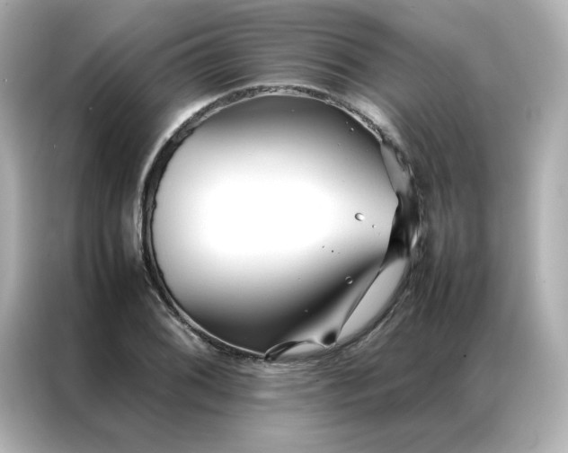 X0000086991076200704301333