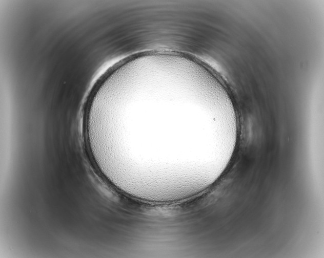 X0000086991078200704301333