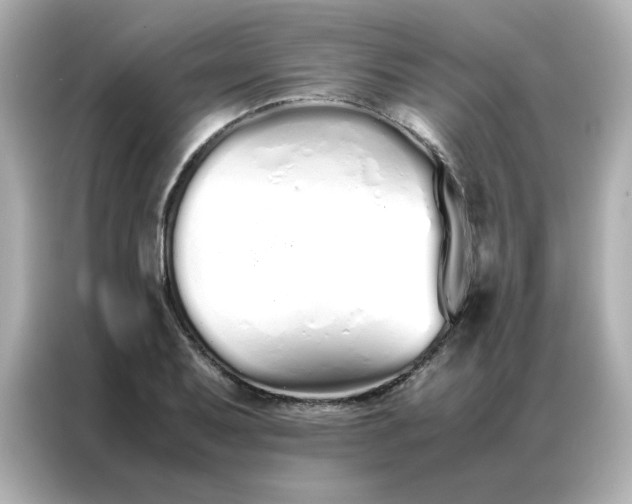 X0000086991079200704301333