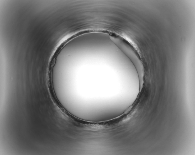 X0000086991085200704301333