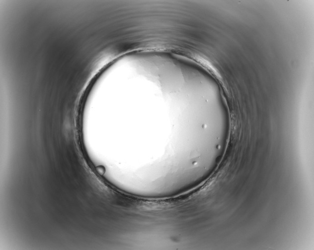 X0000086991091200704301333