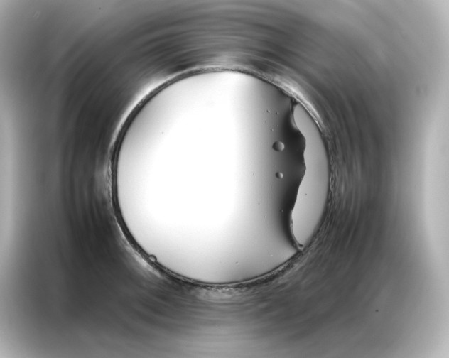 X0000086991092200704301333