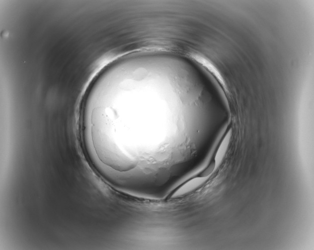 X0000086991099200704301332