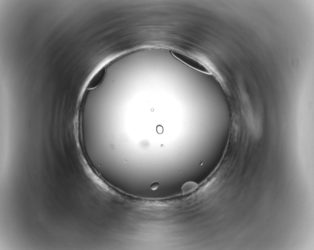 X0000086991100200704301332