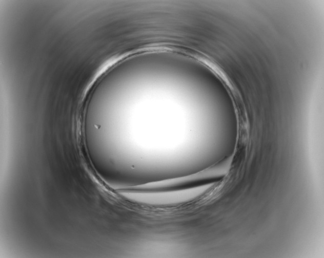 X0000086991101200704301332