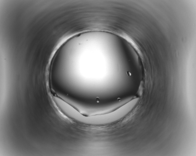 X0000086991102200704301332