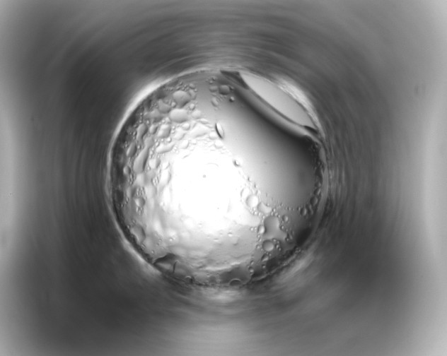 X0000086991103200704301332