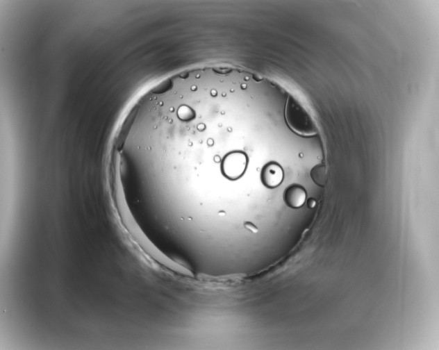 X0000086991104200704301332