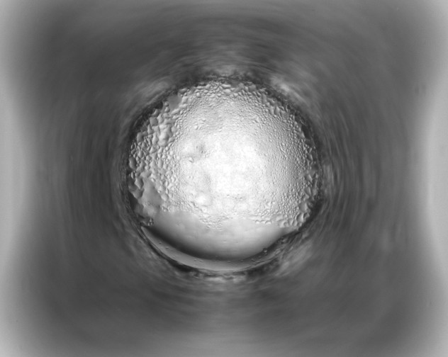 X0000086991105200704301332