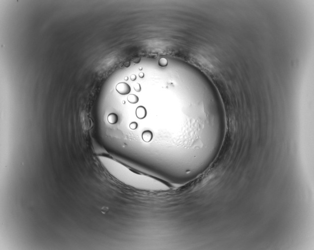 X0000086991106200704301332