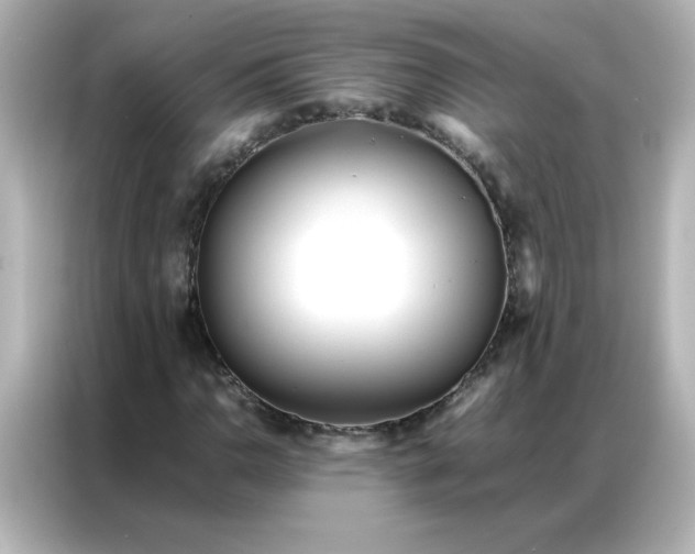 X0000086991110200704301332