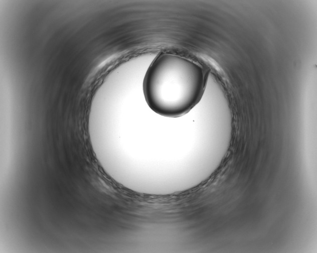 X0000086991112200704301332