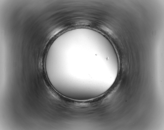 X0000086991113200704301332