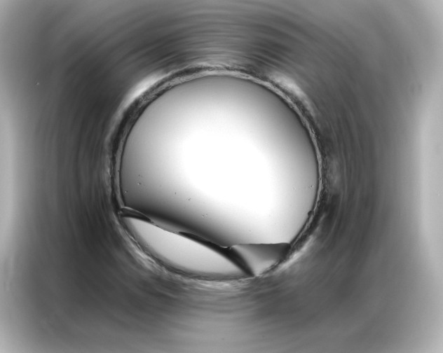 X0000086991114200704301332