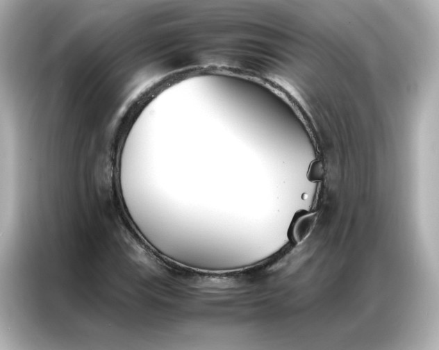 X0000086991115200704301332