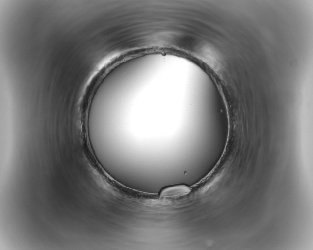 X0000086991118200704301332