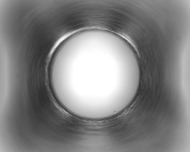 X0000086991120200704301332