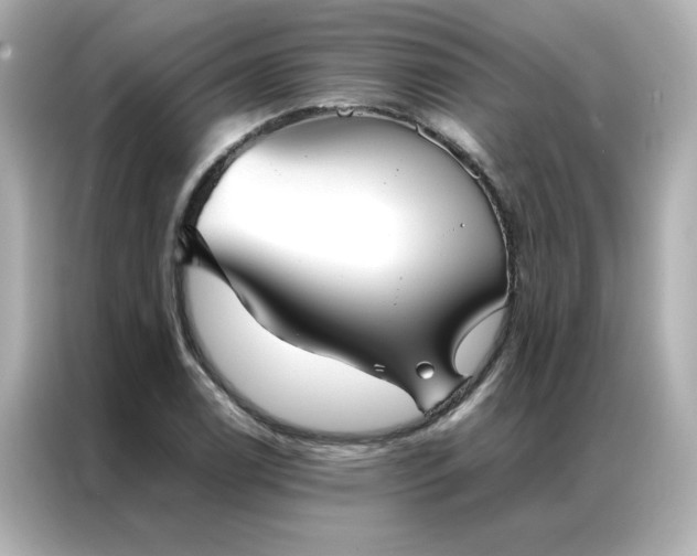 X0000086991122200704301332