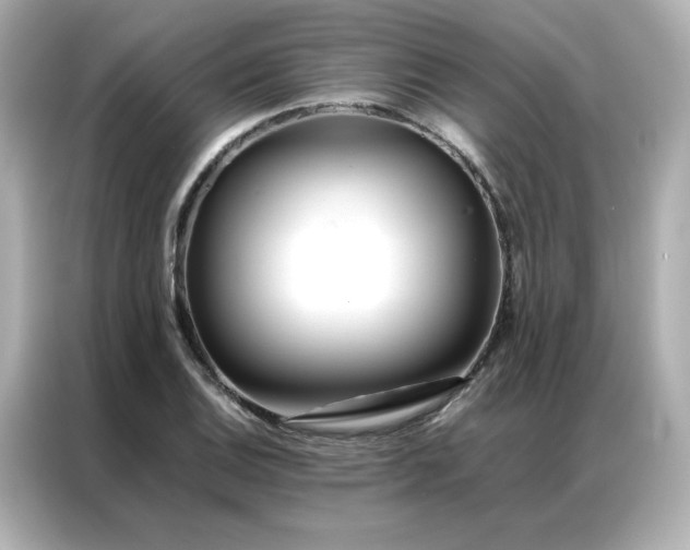 X0000086991124200704301332