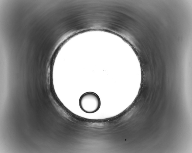 X0000086991126200704301332