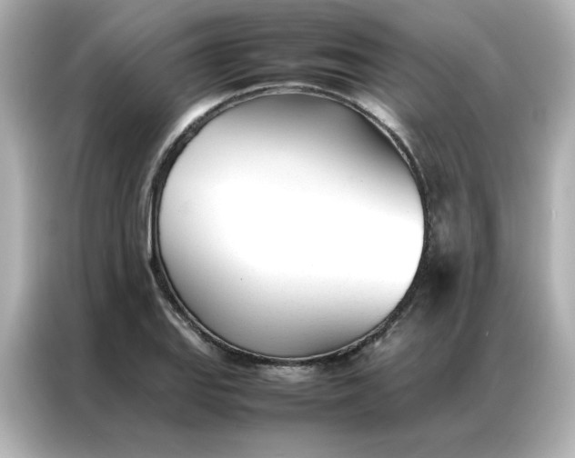 X0000086991127200704301332