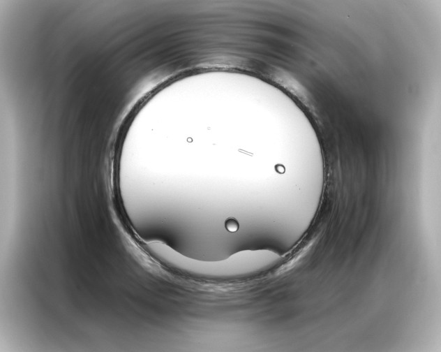 X0000086991130200704301332