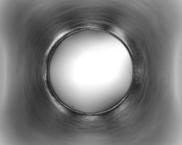 X0000086991131200704301332