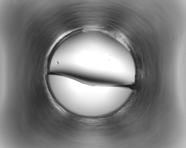 X0000086991132200704301332