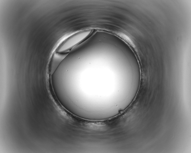 X0000086991133200704301332