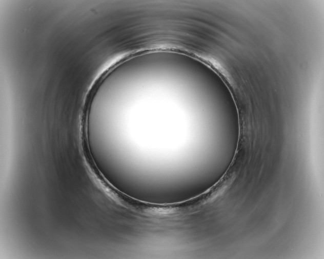 X0000086991134200704301332