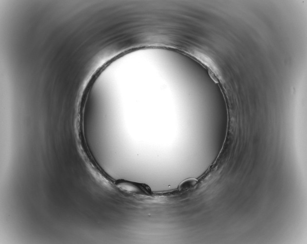 X0000086991136200704301332