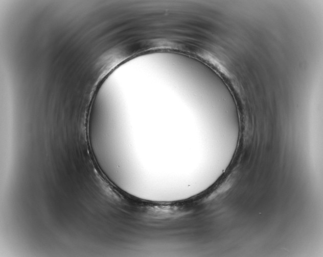 X0000086991137200704301332