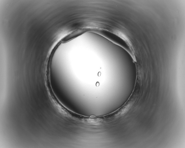 X0000086991138200704301332