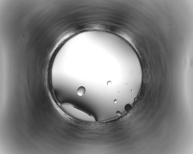 X0000086991139200704301332