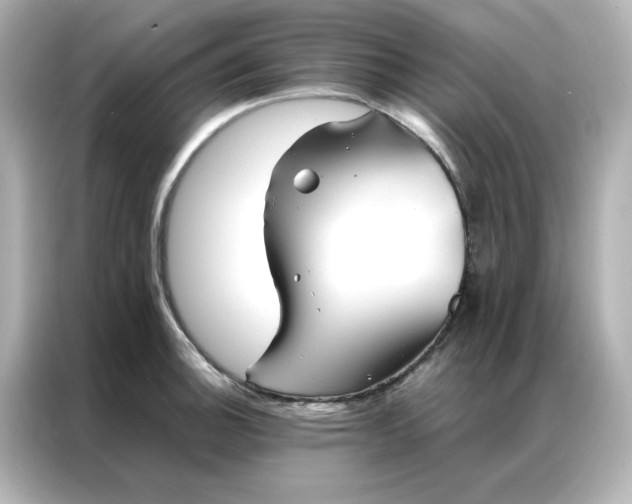 X0000086991140200704301332