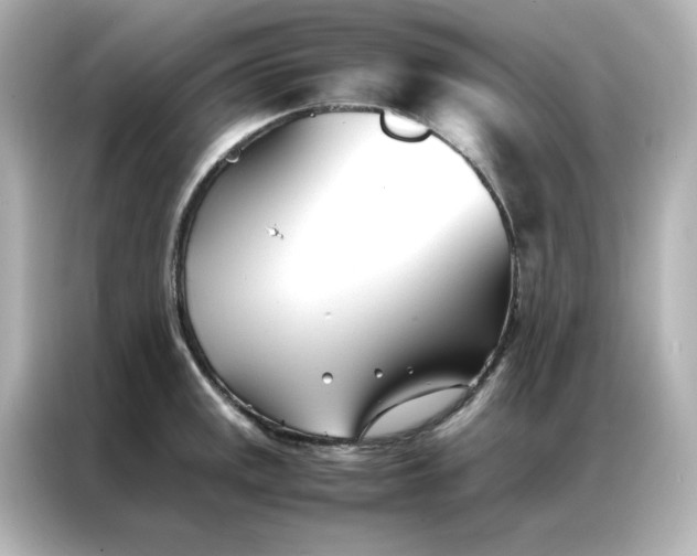 X0000086991141200704301332