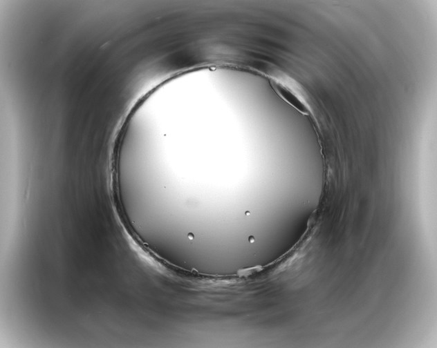 X0000086991143200704301332